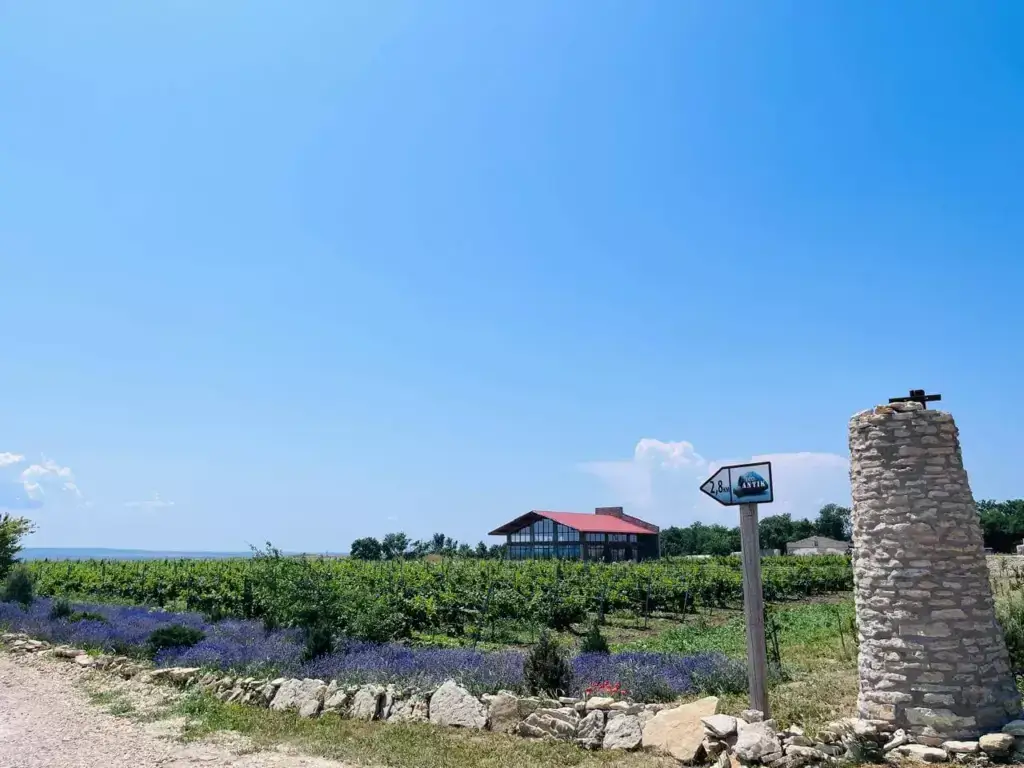vinnyye tury foto vinodelov (1)